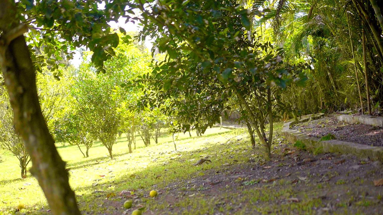 Pousada Bem Viver Ubatuba Exteriér fotografie